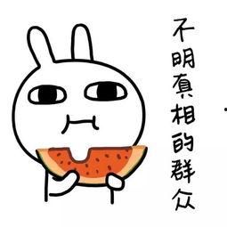 娱乐吃瓜酱的创作背景,揭秘娱乐圈幕后故事，带你走进明星真实生活